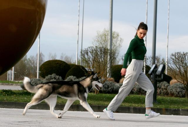 merlin zapresic1.jpg